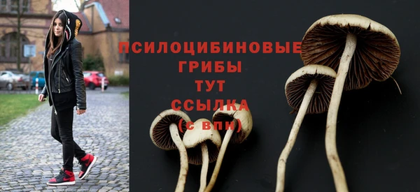 соль курить ск Арсеньев
